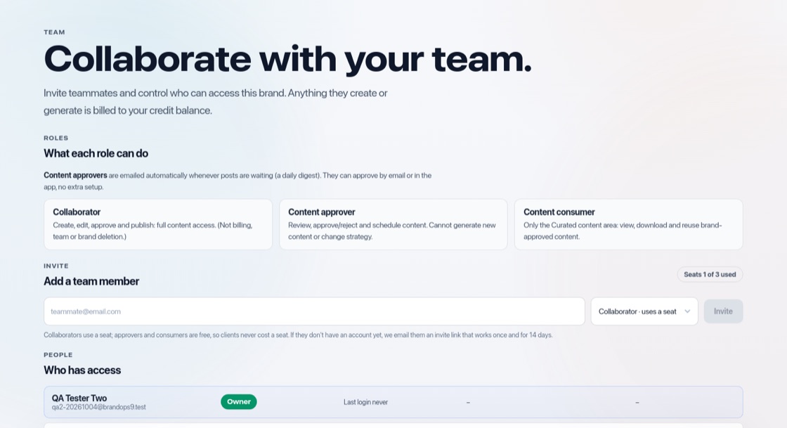 Screenshot of the Invite your team and set roles screen